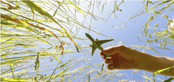 forbes flight over grass